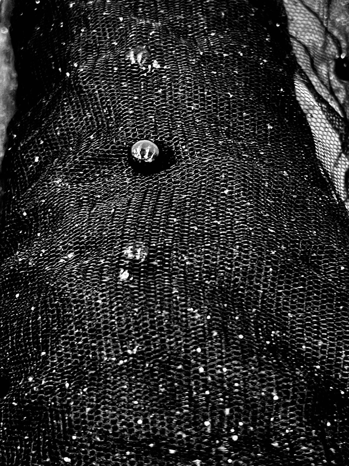 Glitter Mesh Fabric with Pearls
