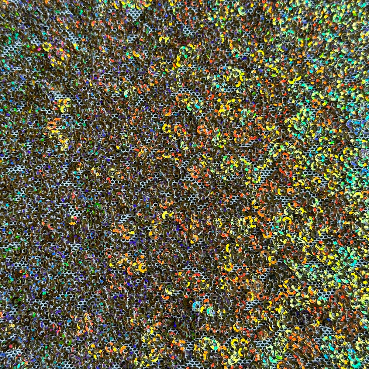 Sequin Stretch Power Mesh Fabric