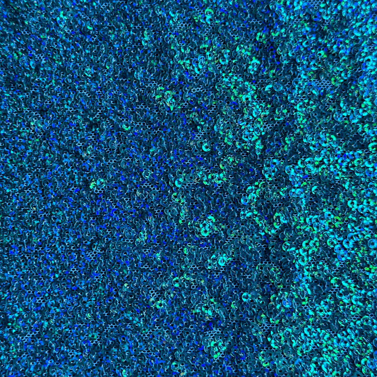 Sequin Stretch Power Mesh Fabric