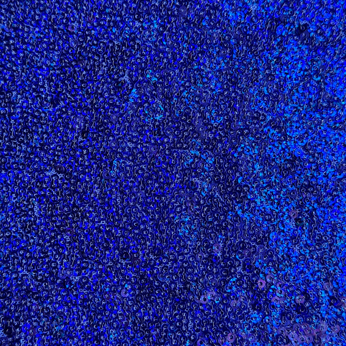 Sequin Stretch Power Mesh Fabric