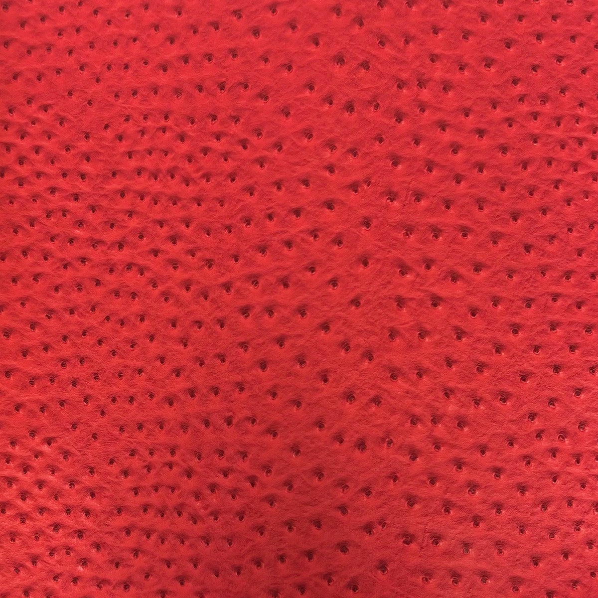 Saratoga Ostrich Faux Leather Vinyl Fabric - Ostrich Embossed Texture, 54" Width (1 Yard)