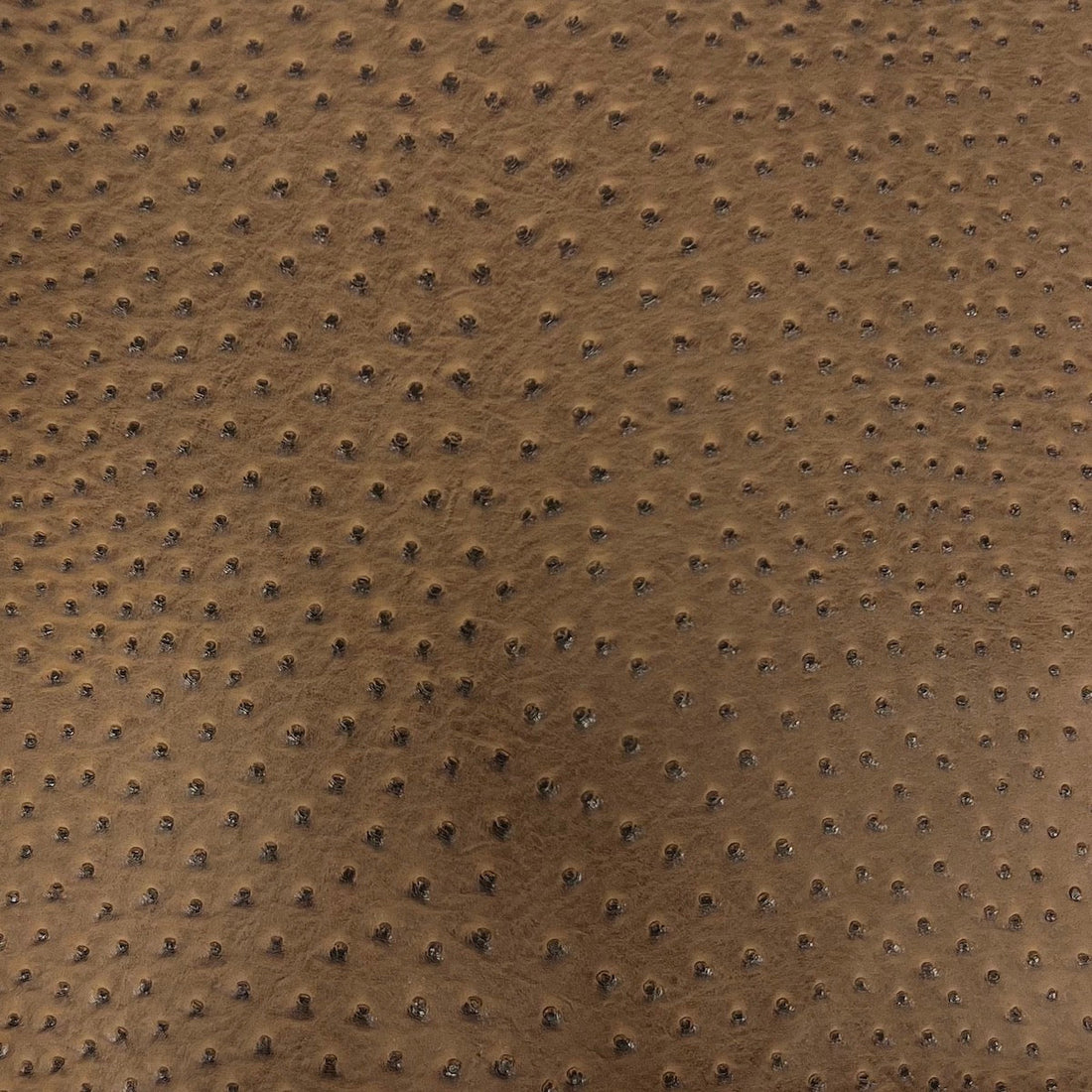 Saratoga Ostrich Faux Leather Vinyl Fabric 54" Wide, PU Coated, Upholstery & Auto Interior Use