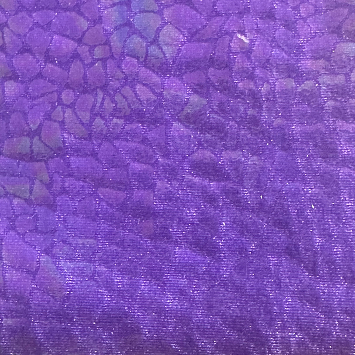 Nylon Spandex Holographic Snake Fabric 60"
