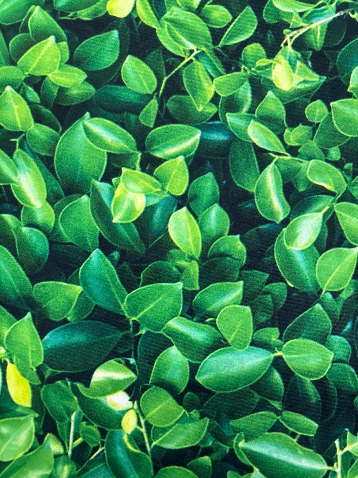 Green Leaves Spandex Fabric - Green Leaves Print, 58"/60" Width (1 Yard)