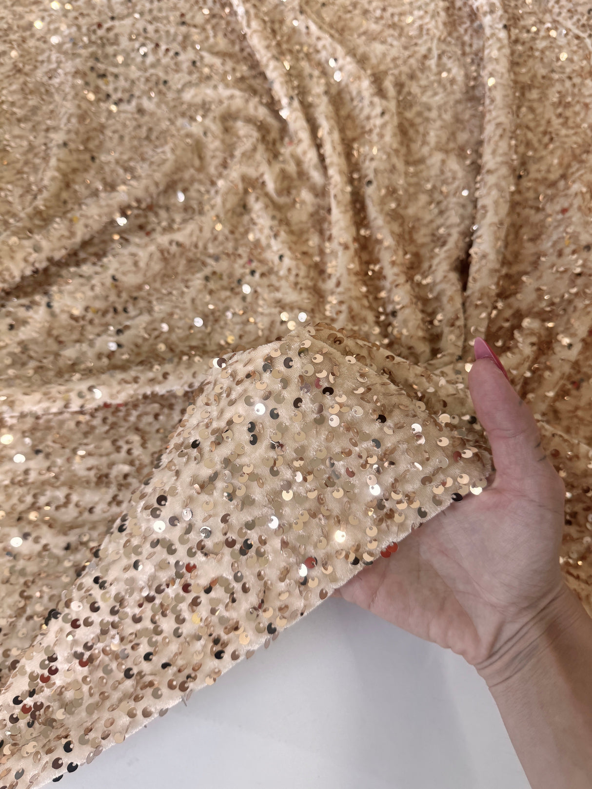 Sequin Velvet Cream Champagne