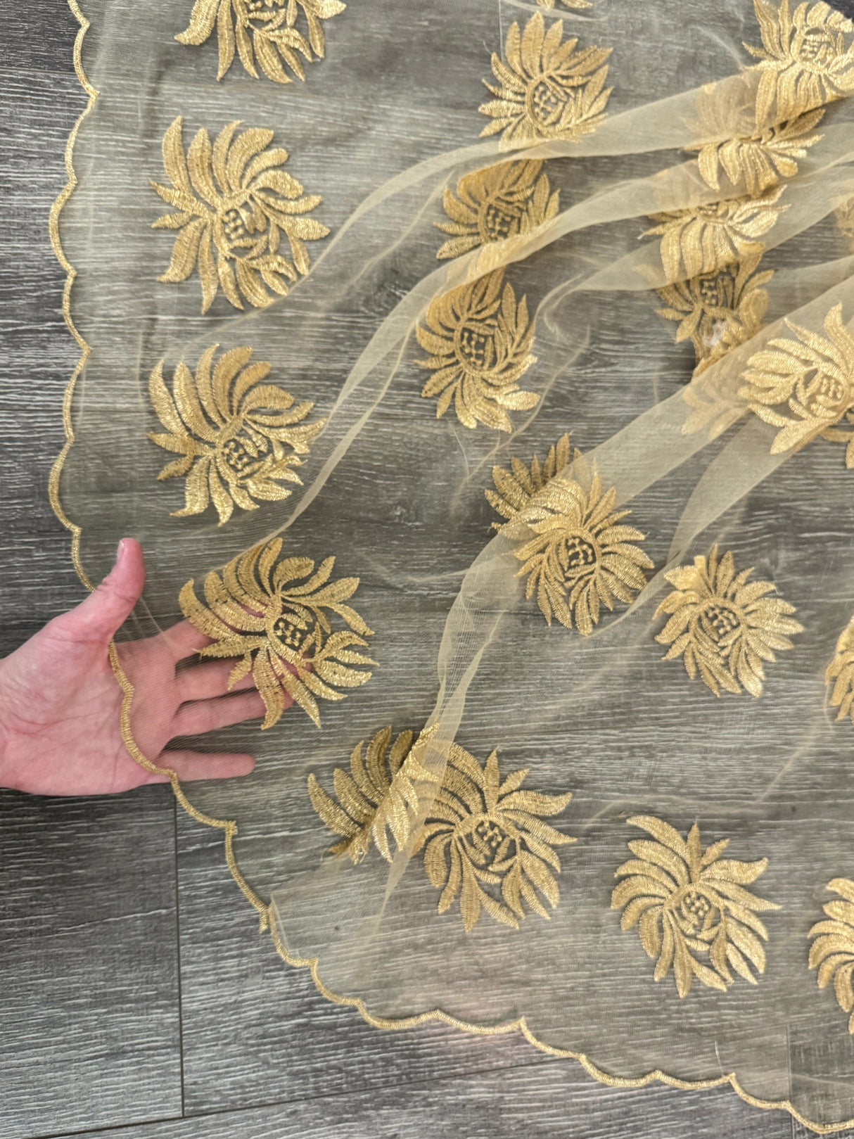 Gold Scalloped Floral Embroidered Lace