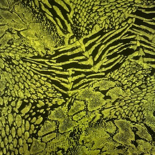 Nylon Spandex Animal Hologram Foil Fabric 60"
