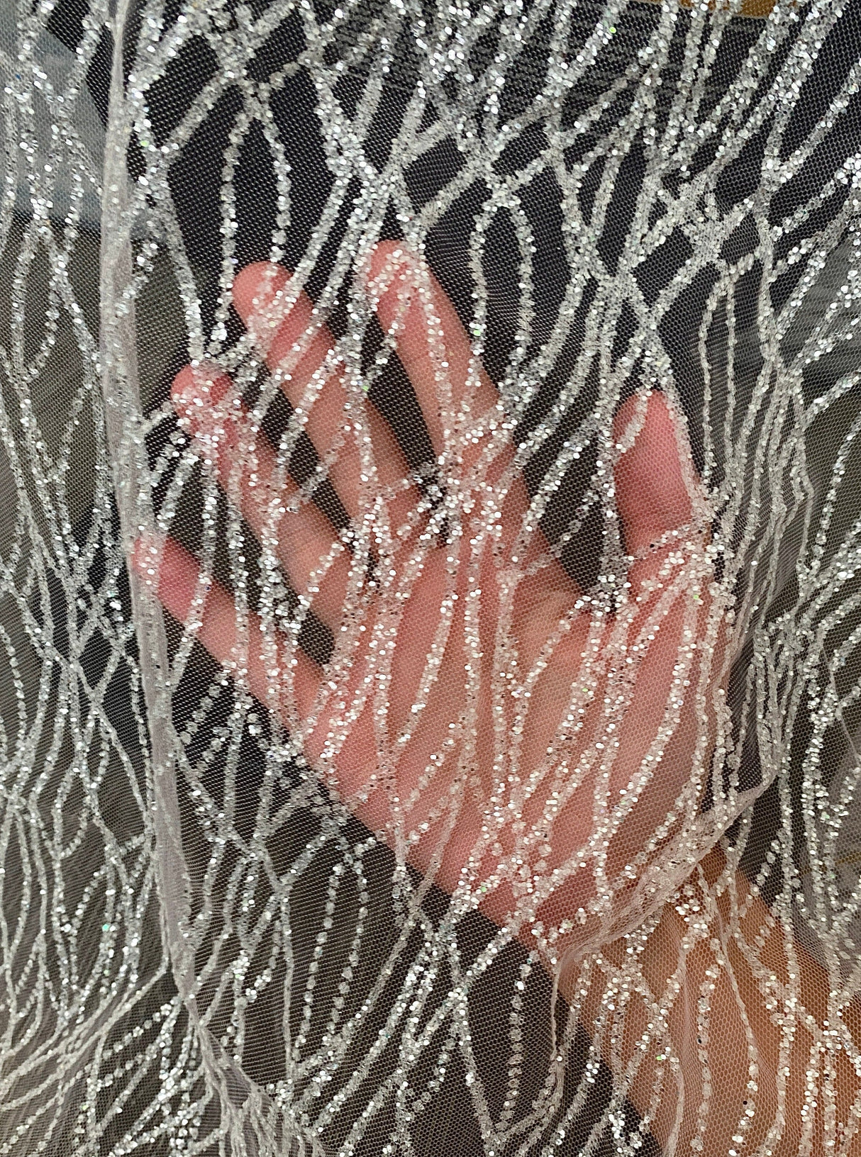 Glitter Lace on Mesh Silver White