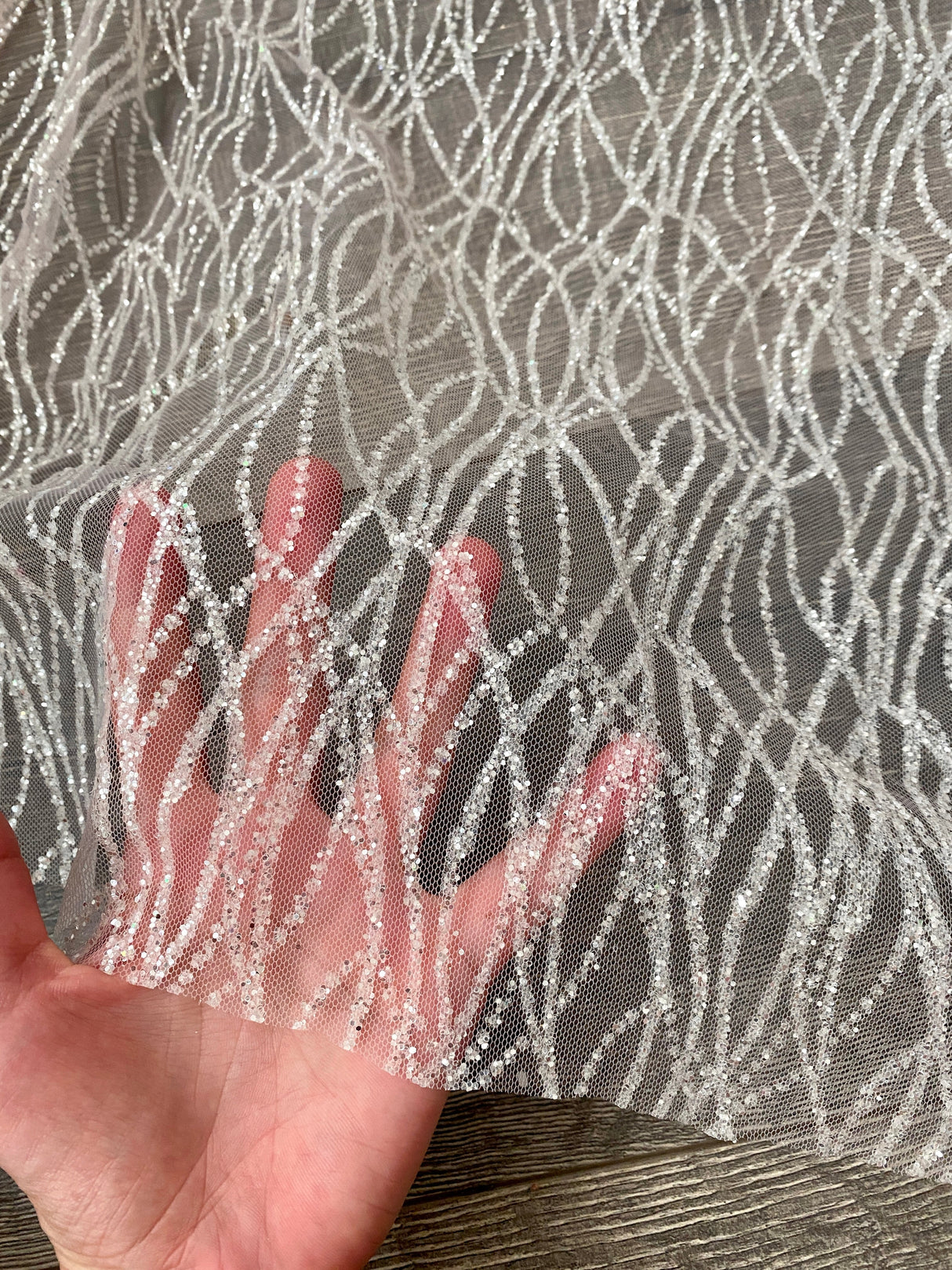 Glitter Lace on Mesh Silver White