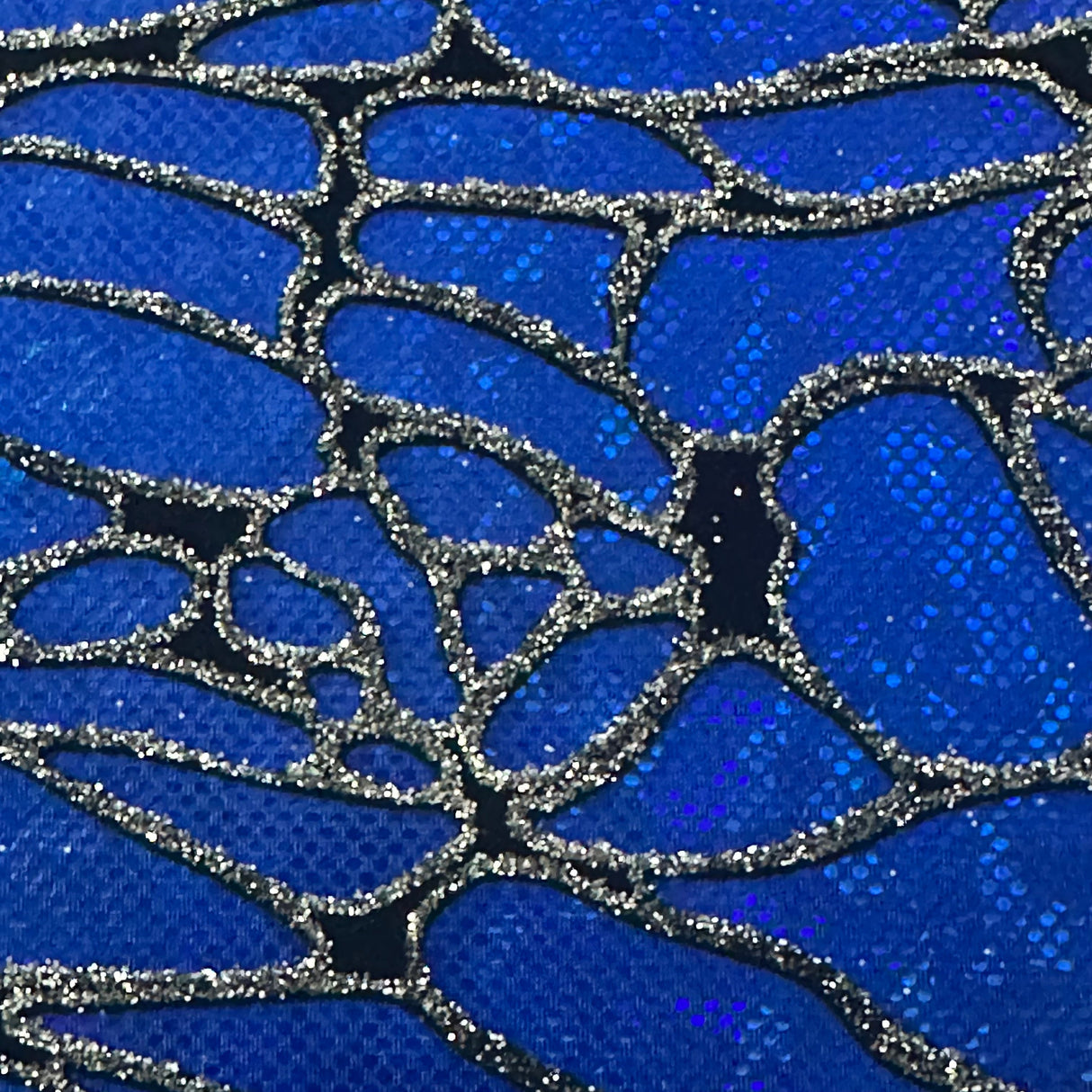 Nylon Spandex Maze Hologram Fabric 60"