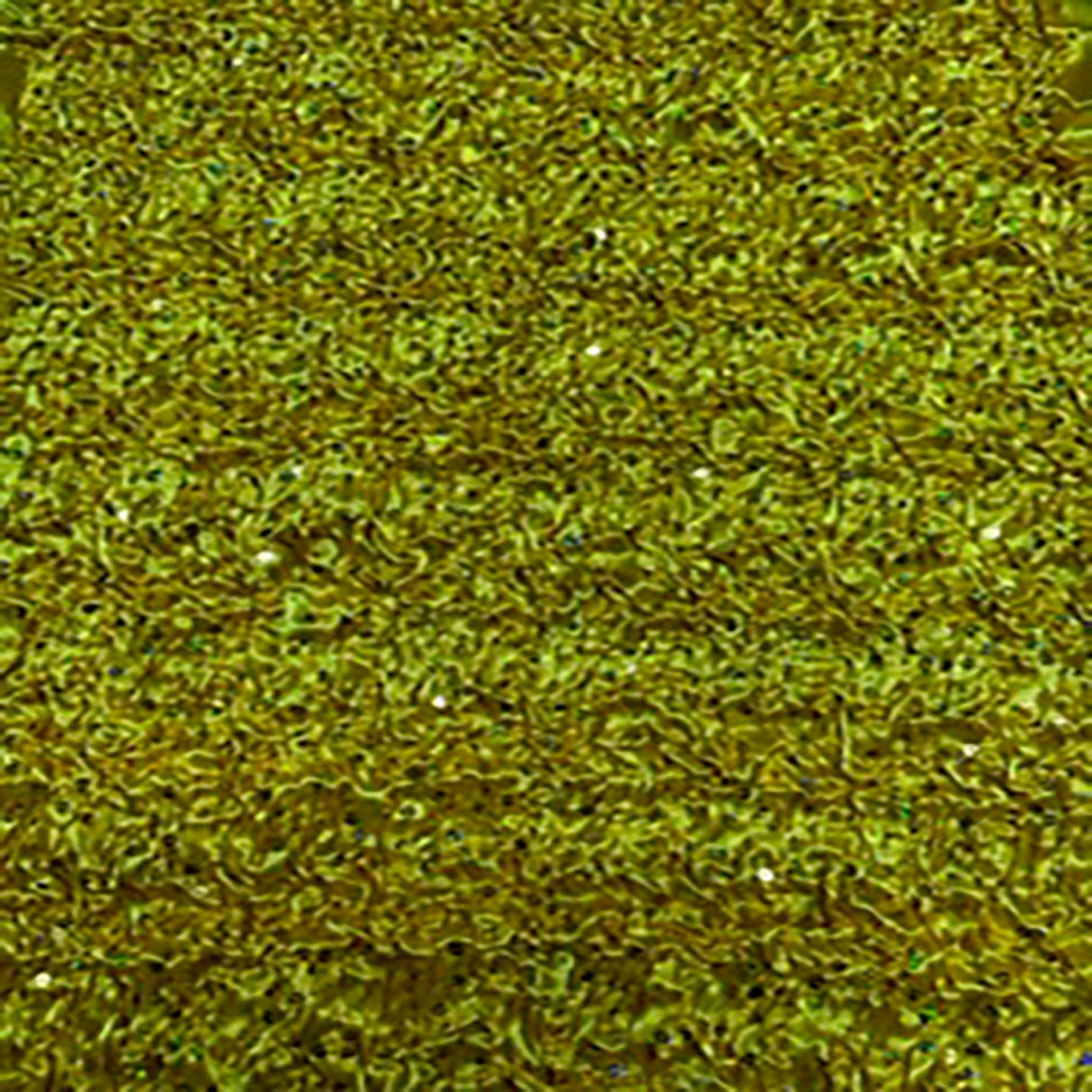 Polyester Curly Satin Sequin Fabric 17" Width