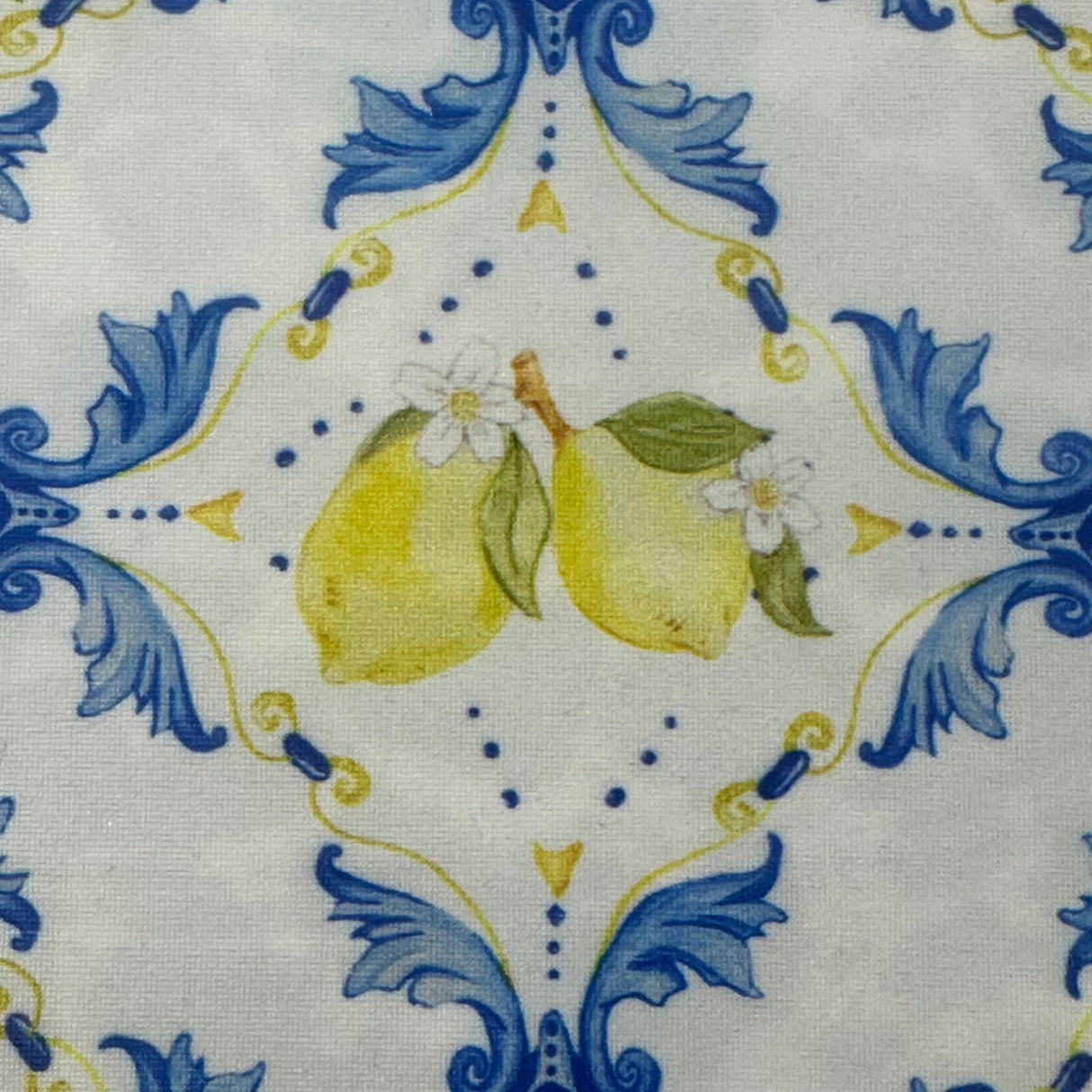 Nylon Spandex Tricot Lemon Swim Fabric 60" White
