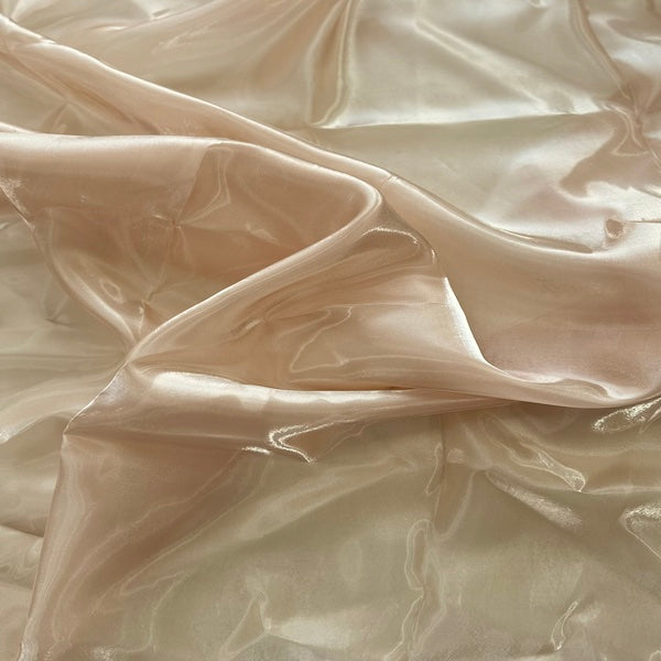 Reflective Liquid Organza Fabric