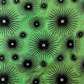 Hologram Spandex Fabric Star-Flocked 60"