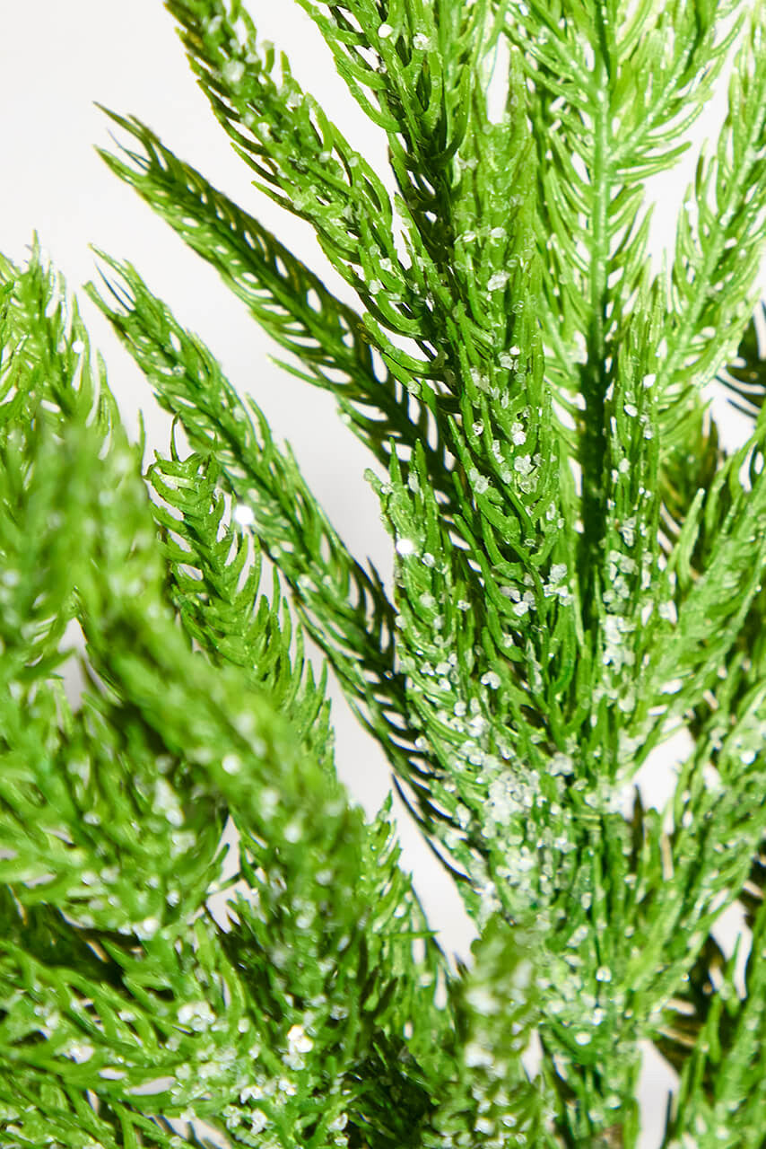 Iced Norfolk Pine Branch 30 Inch Snowy Christmas Greenery Spray