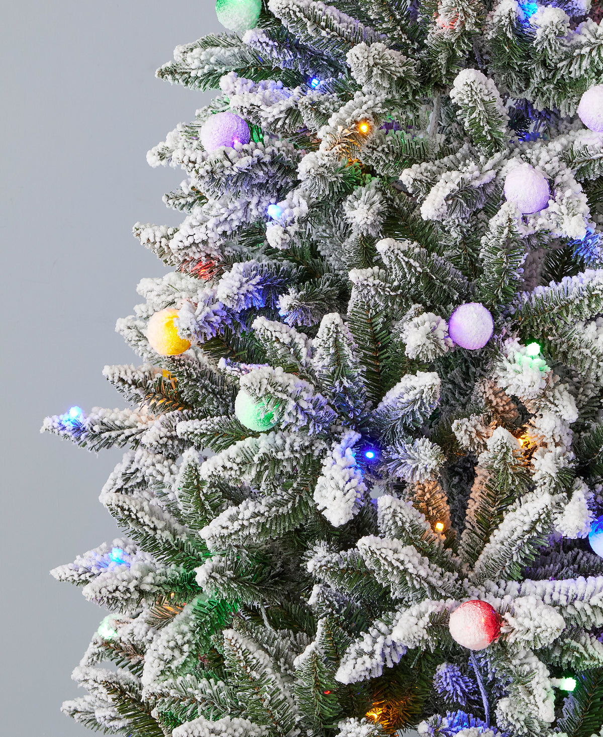 6' Slim Snow Kissed Pine Tree with 200 Multicolor LED Lights