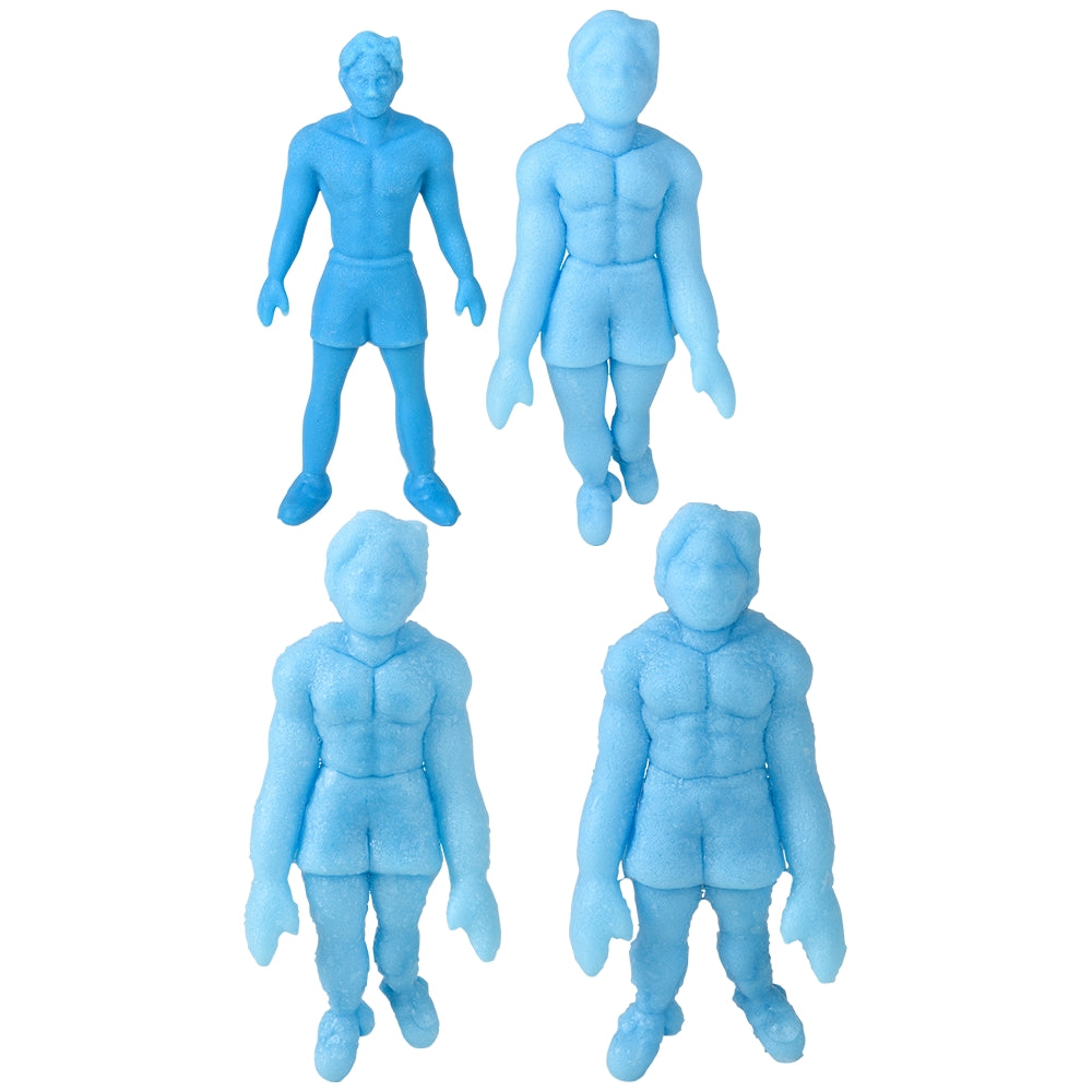 Grow A Boyfriend Toy 12ct (1 DSP)