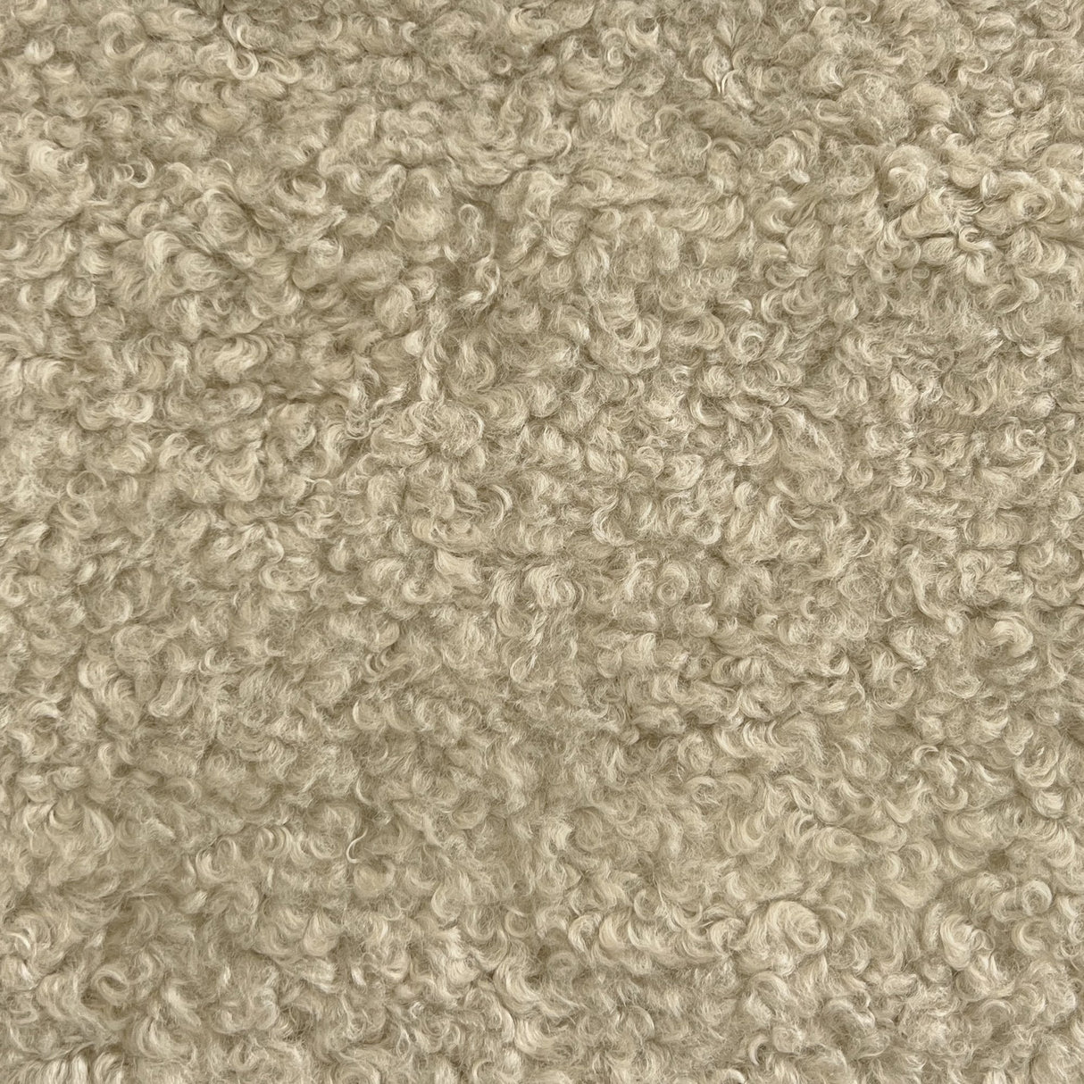 Kova Sherpa Boucle Polyester Fabric - Teddy Sherpa Textured, 58" Width (1 Yard)