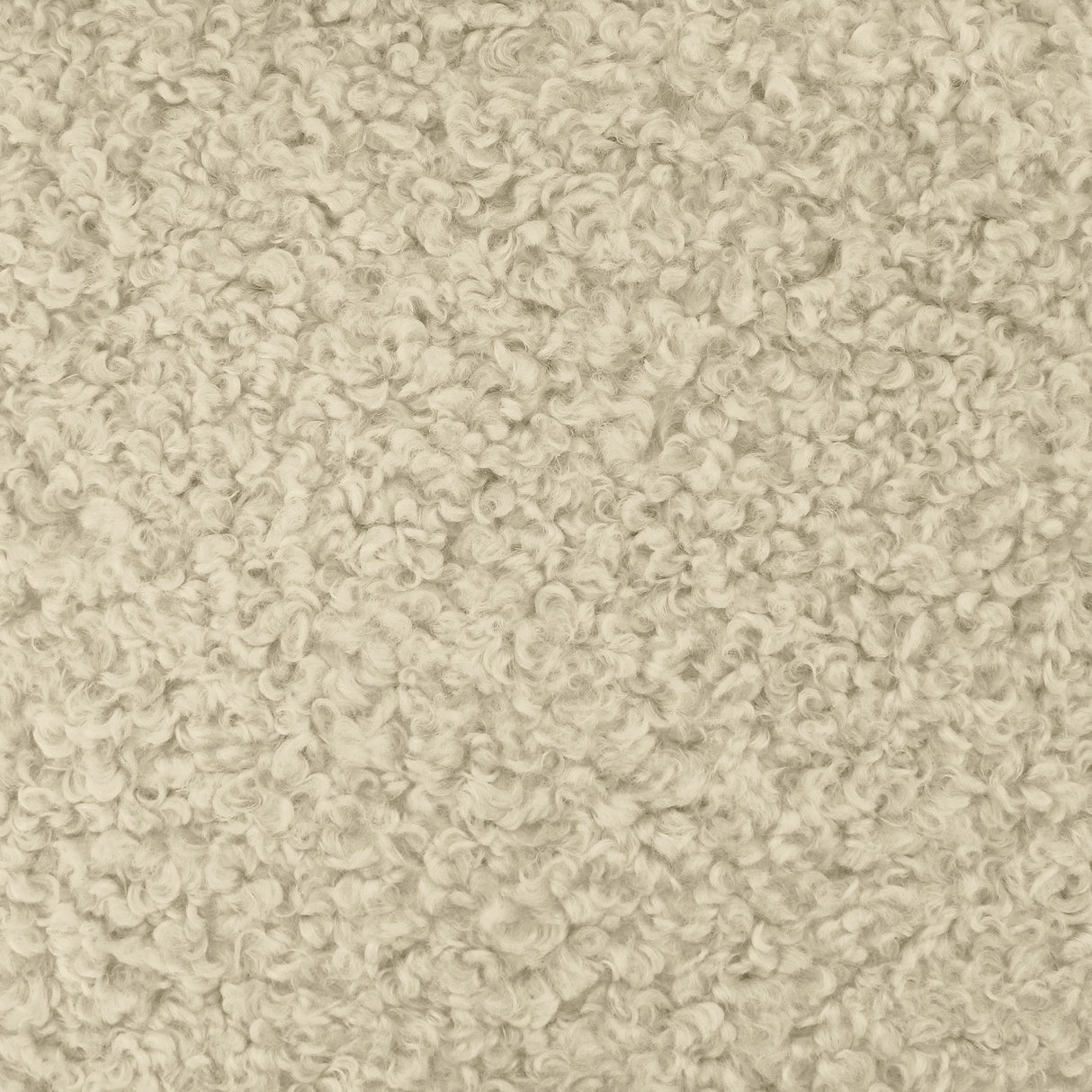 Kova Sherpa Boucle Polyester Fabric - Teddy Sherpa Textured, 58" Width (1 Yard)