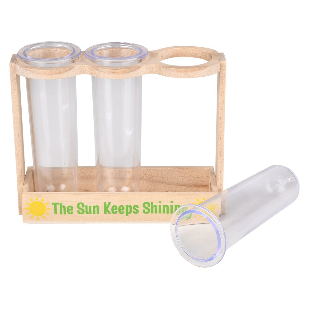 Root Viewer Science Kit (1 PC)