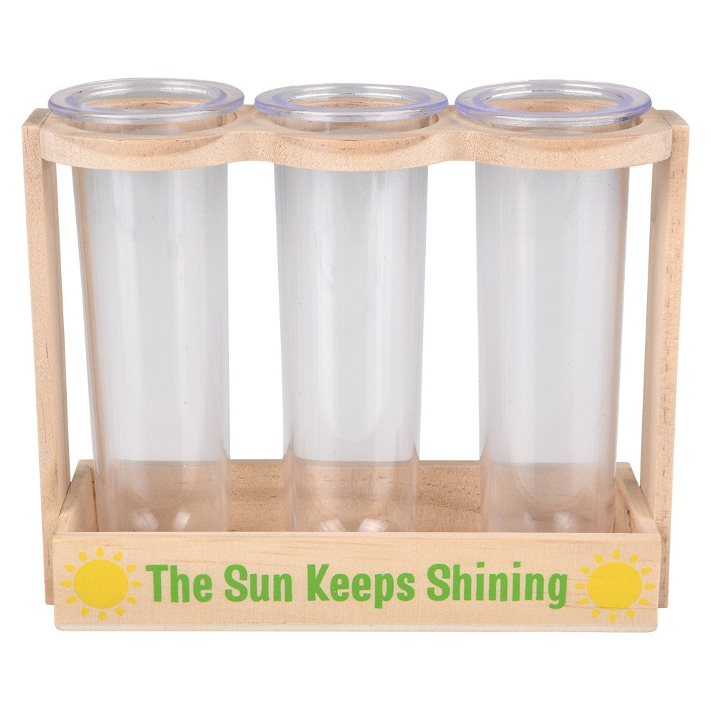 Root Viewer Science Kit (1 PC)