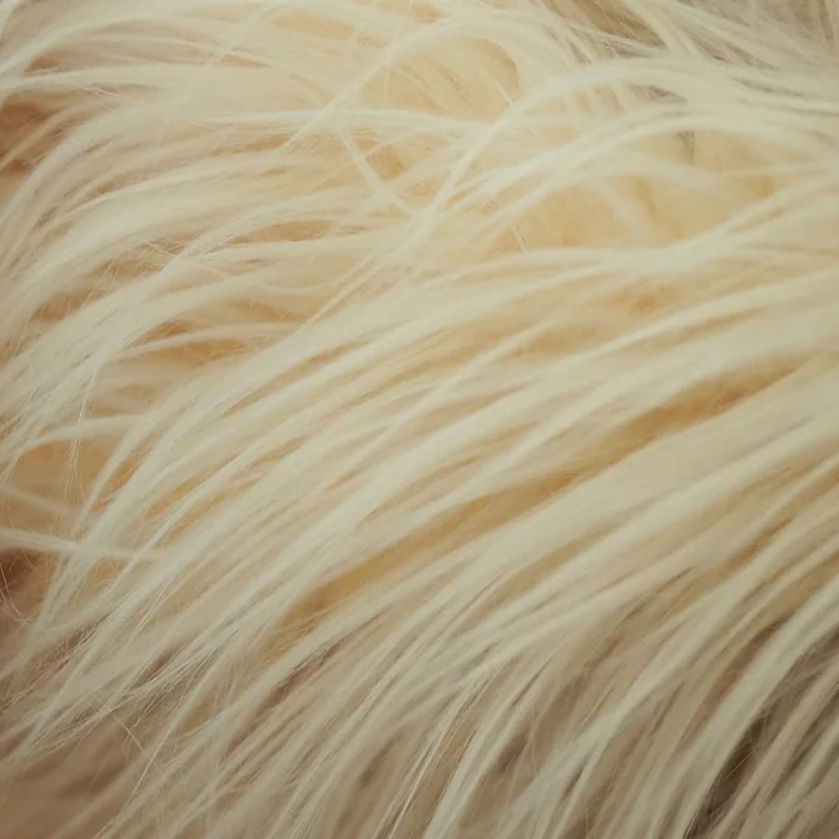 Shaggy Long Pile Faux Fur Fabric - 4" Pile, 60" Width (1 Yard)