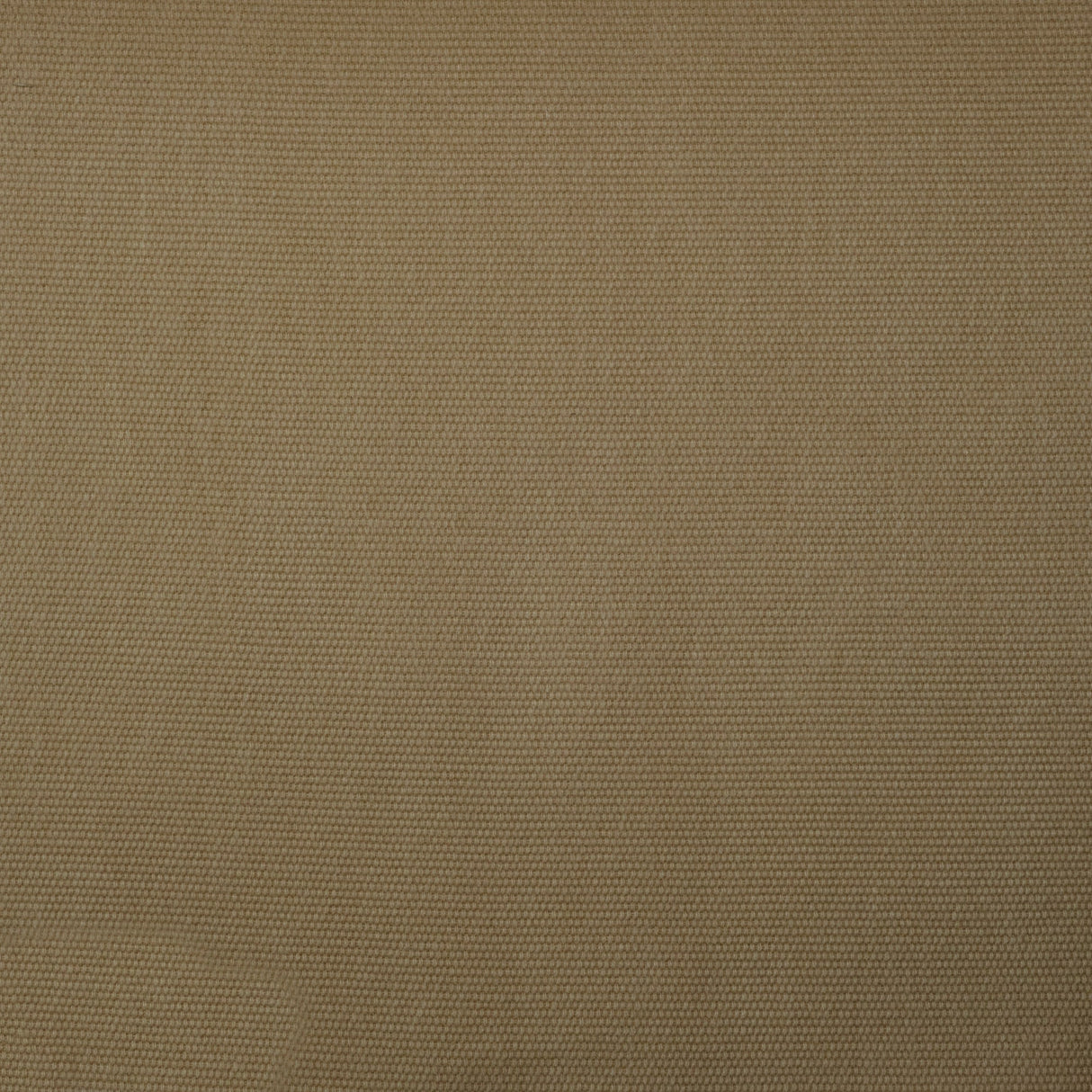 Cotton Upholstery Fabric by the Yard - Leah Solid Brushed 61" Wide