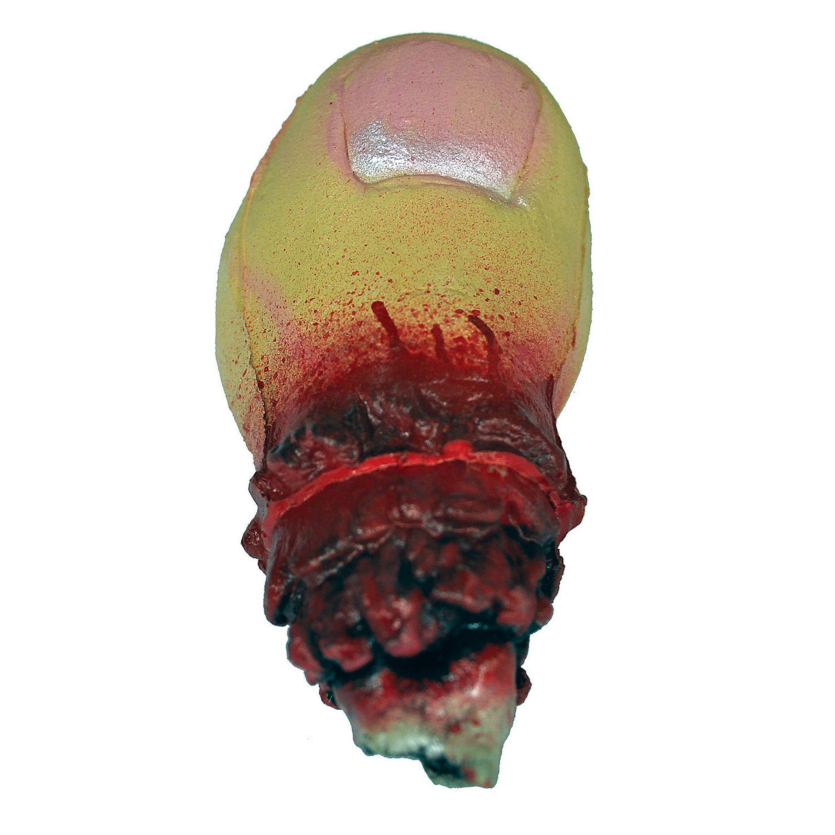 Realistic Severed Big Toe Prop for Halloween Haunts and Horror Decorations