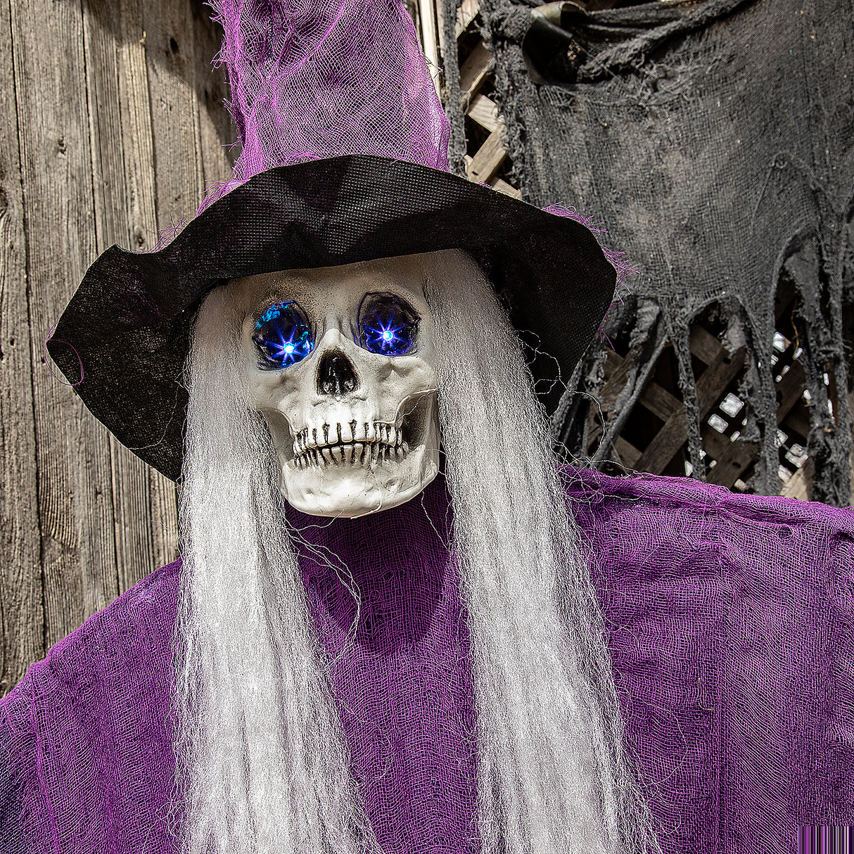 Light-Up Eyes Skeletal Witch Halloween Hanging Decoration 6 Ft.