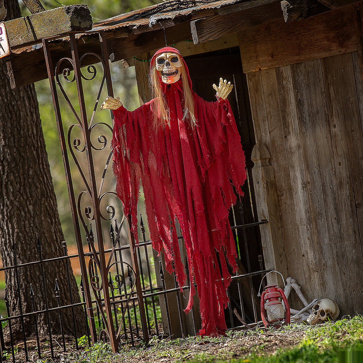 Light-Up Skeletal Reaper in Red Robes Halloween Hanging Decoration 66 3/4"