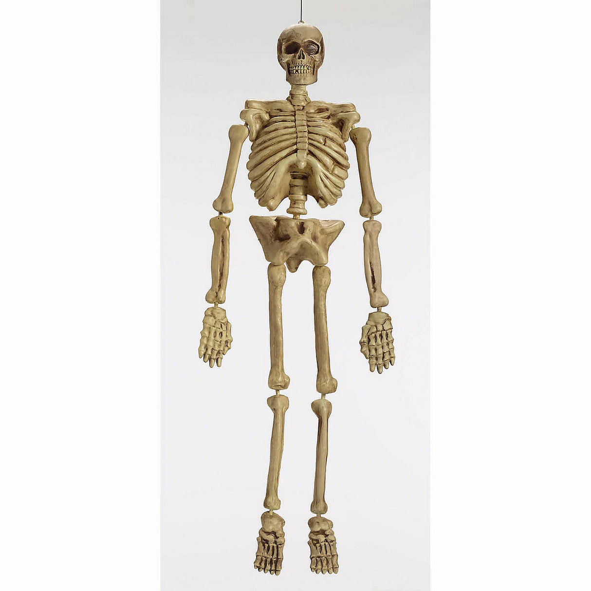 5 Ft Realistic Skeleton Decoration for Halloween Displays Decor and Haunted House Parties