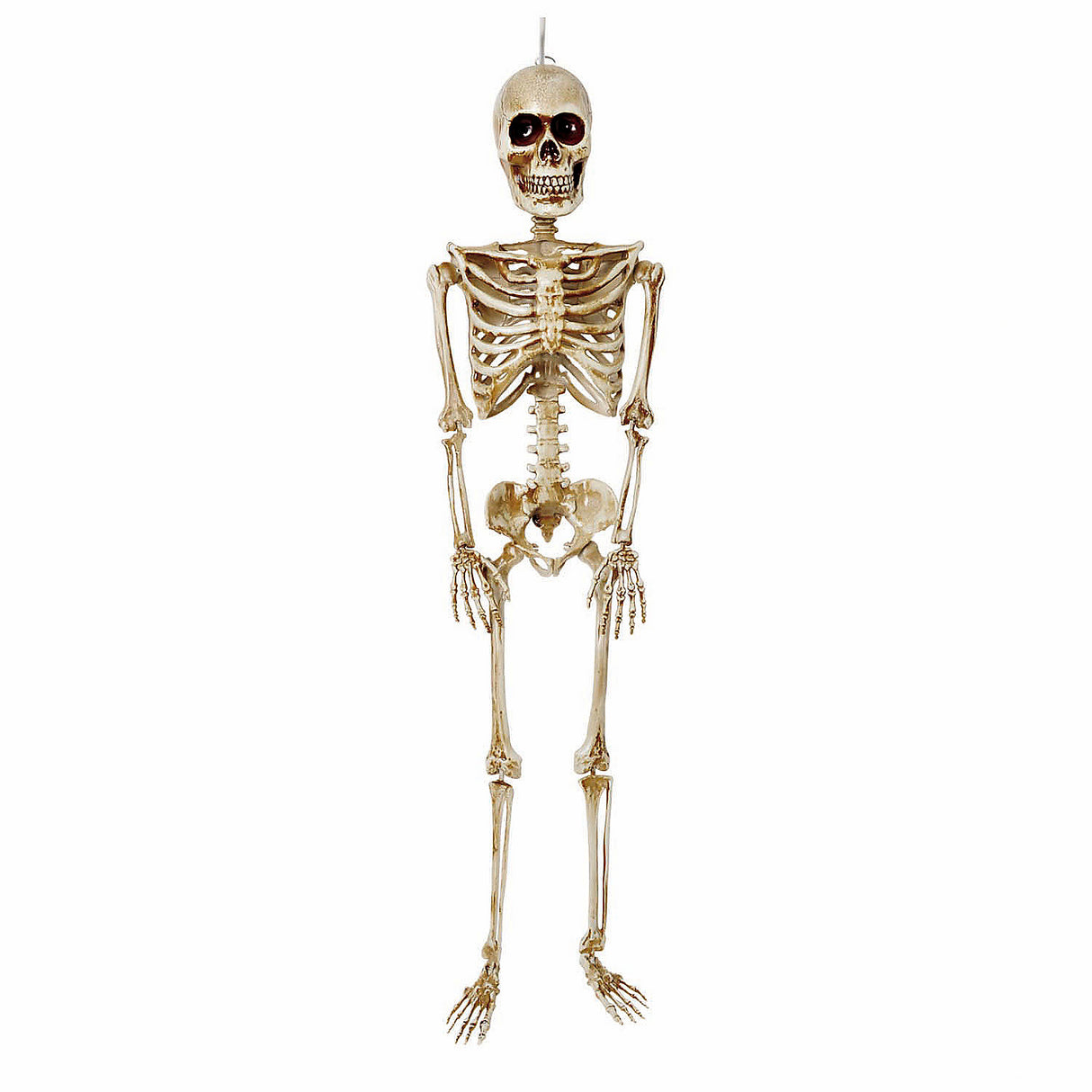 Articulated Skeleton Decoration for Halloween Parties Outdoor Displays and Haunted House Creative Themes