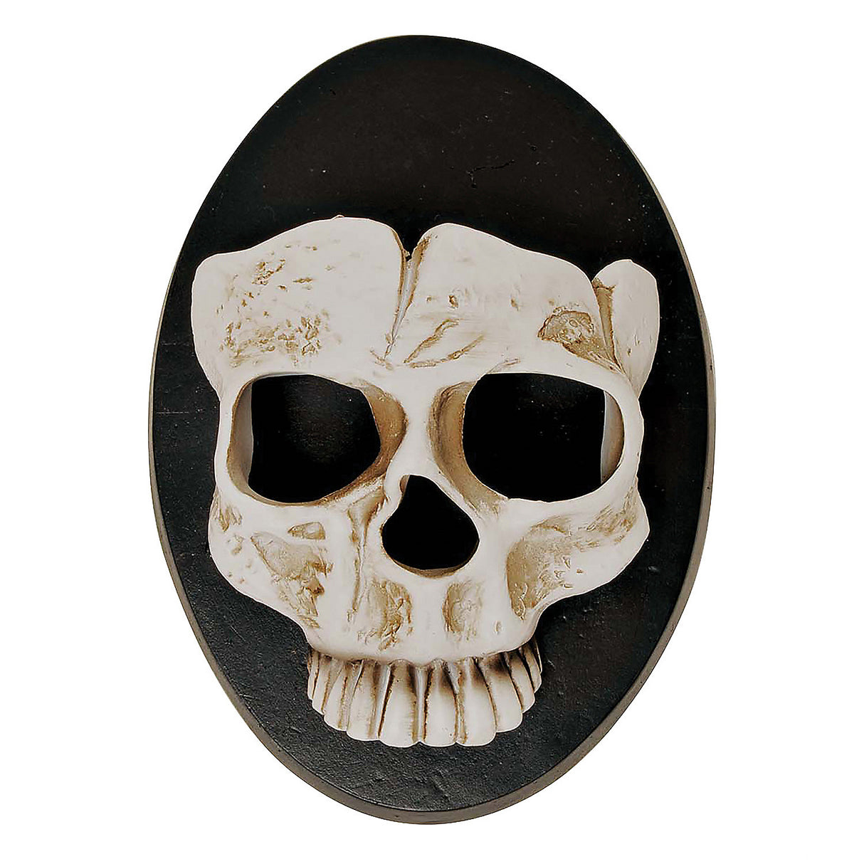 6 Skull Wall Sconce Halloween Decor for Spooky Home Decor and Haunted House Themes