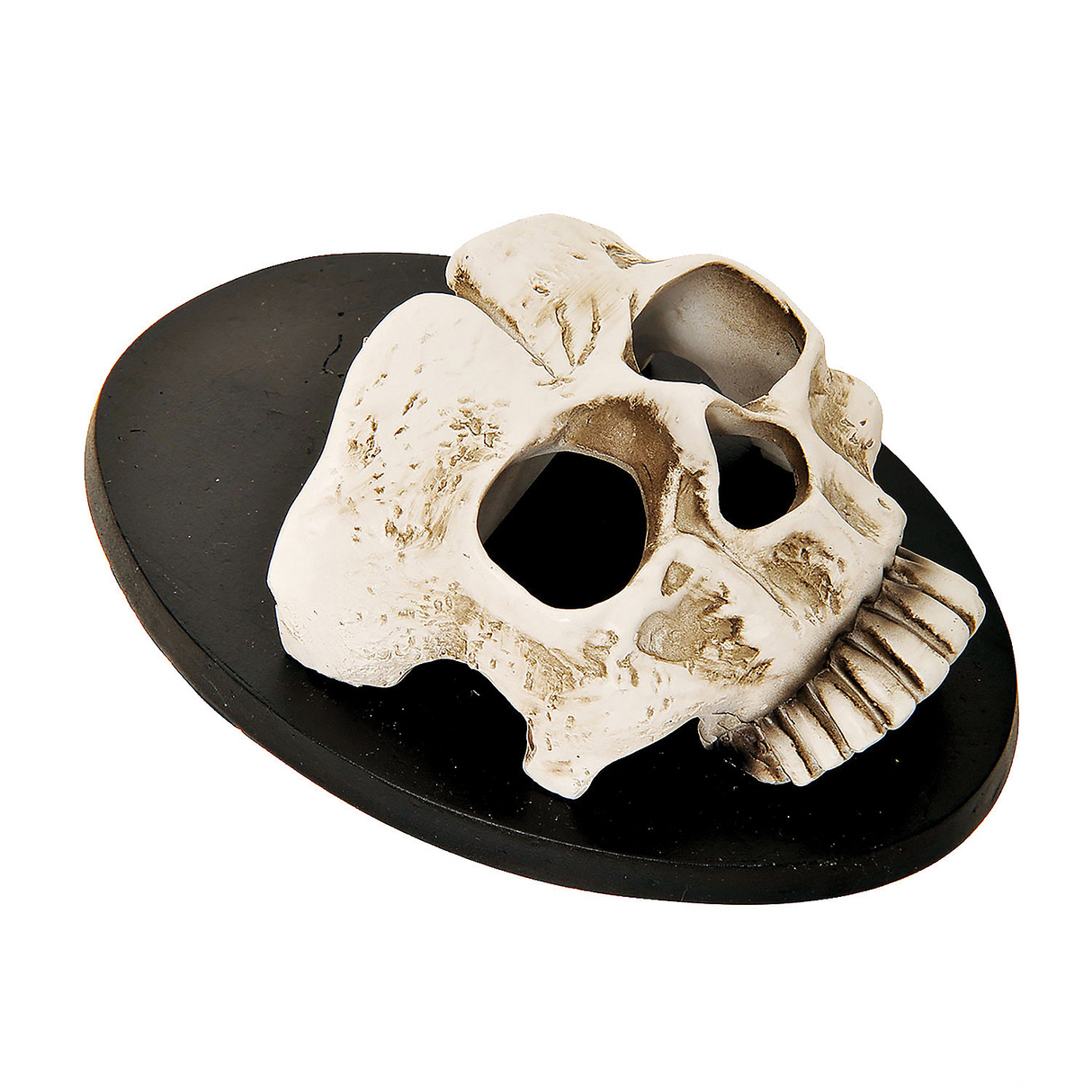 6" Skull Wall Sconce Halloween Dcor