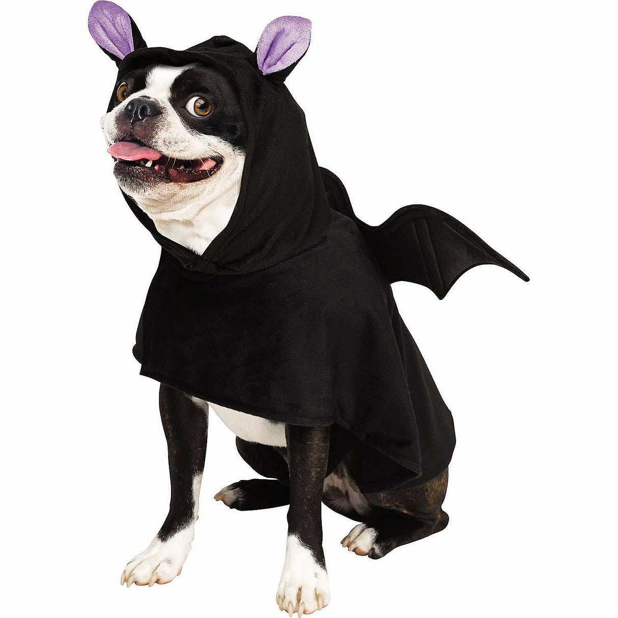 Stylish Black Bat Poncho Pet Costume for Halloween Fun and Pet Dress Up Occasions