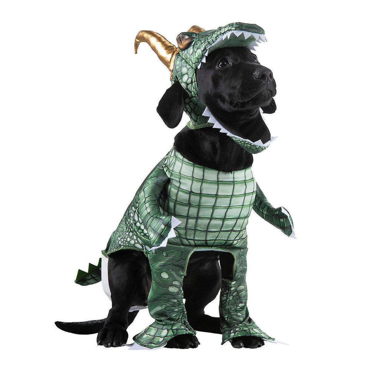 Alligator Loki Dog Costume for Pets Halloween Parties and Mythical Adventures