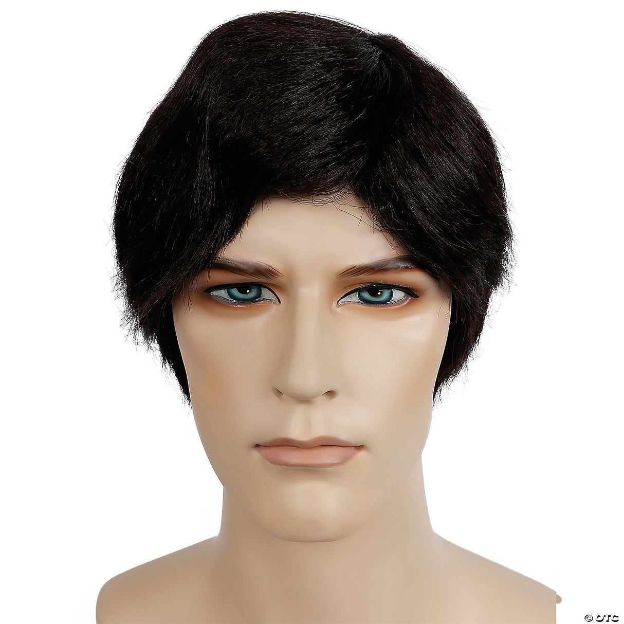 Affordable Special Bargain Men's Wig for Creative Costume Ideas and Themed Events