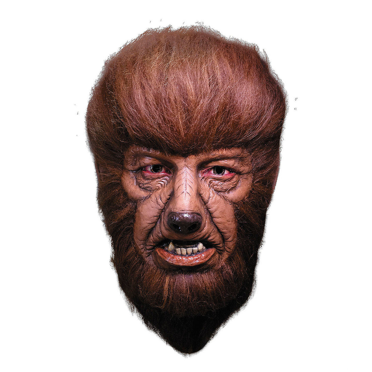 Authentic Wolfman Mask for Halloween Parties Themed Events and Spooky Celebrations