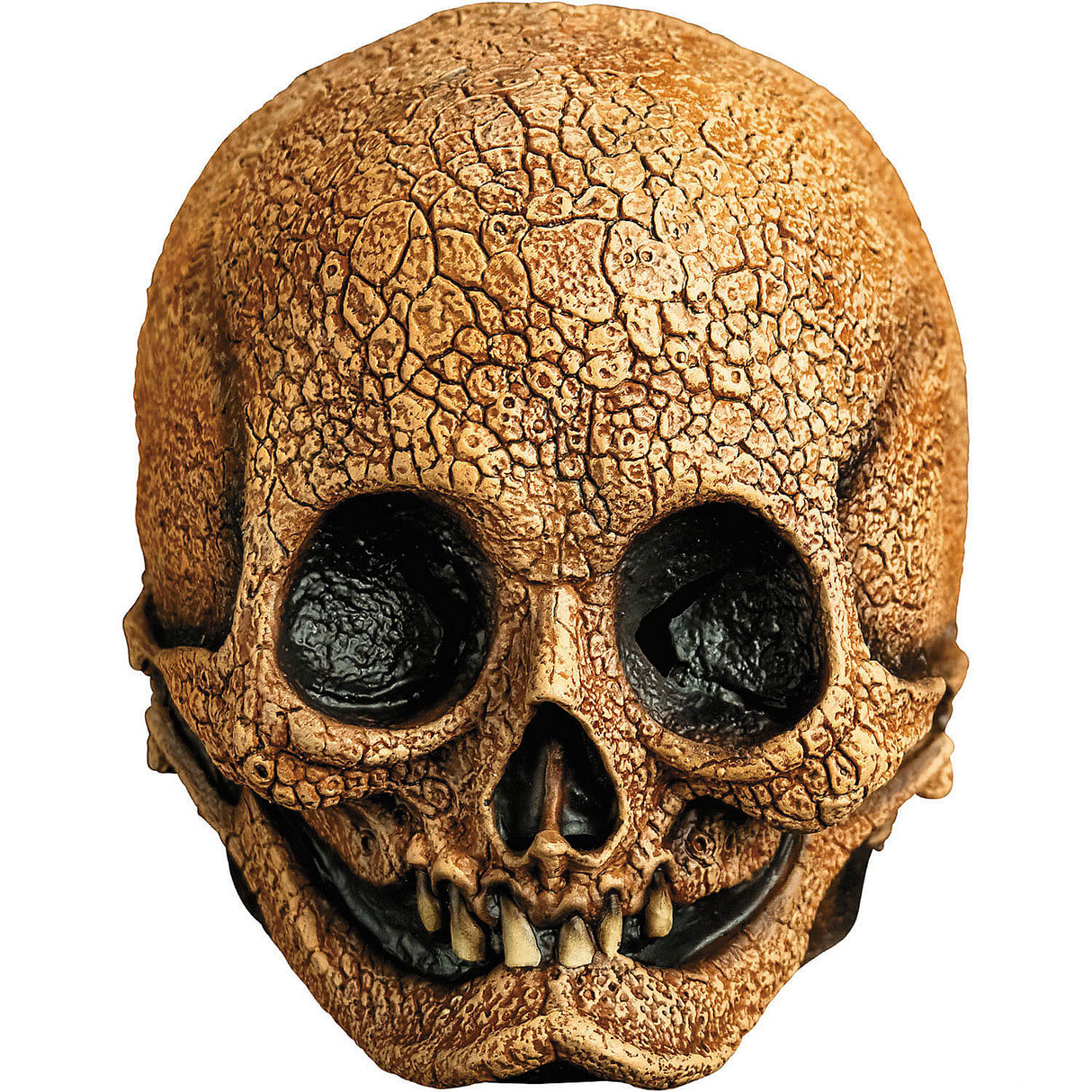 Cranial Skull Overhead Latex Mask for Halloween Parties Cosplay Events and Costume Accessories
