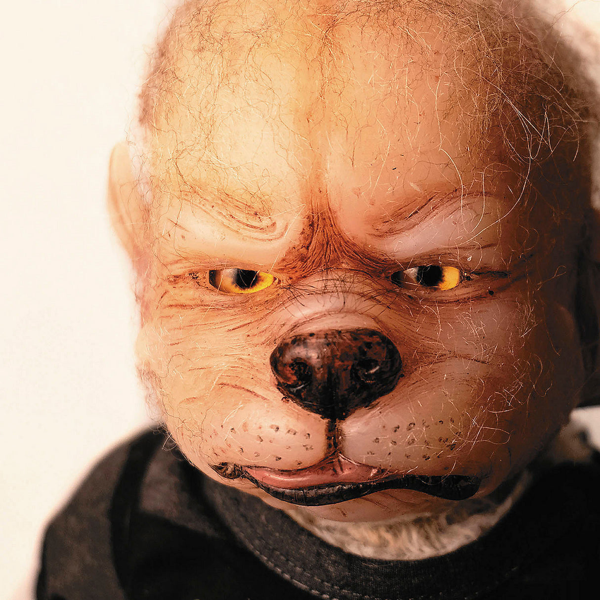 Asia Eriksen's 18-Inch WerePup Toby Collectible for Spooky Decor and Horror Collectors