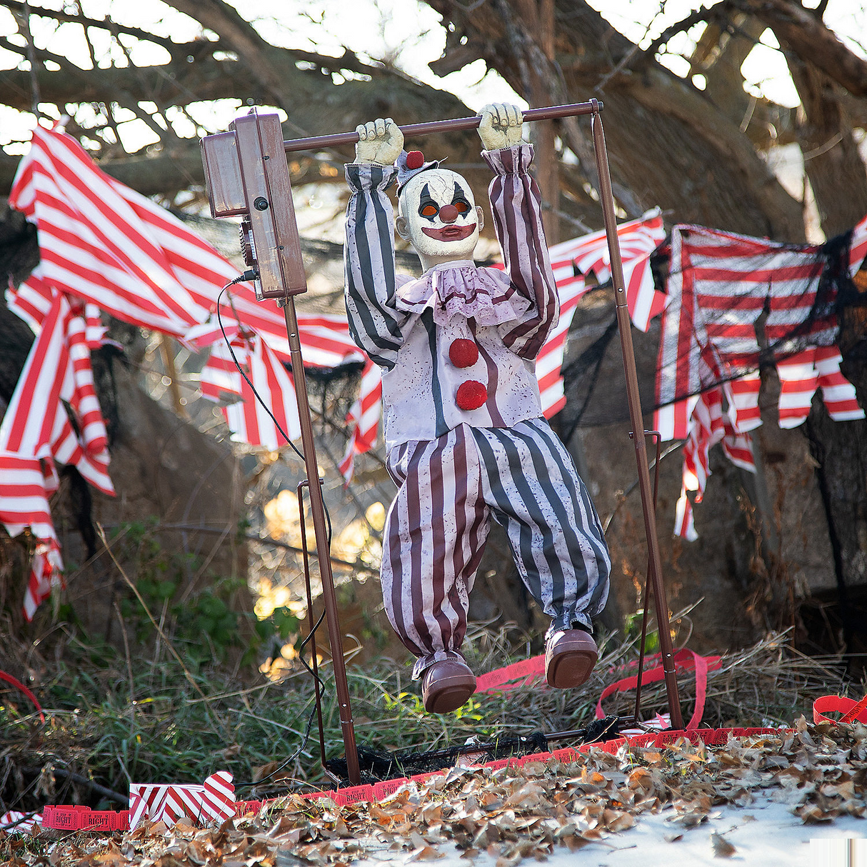 Animated Tumbling Clown Doll