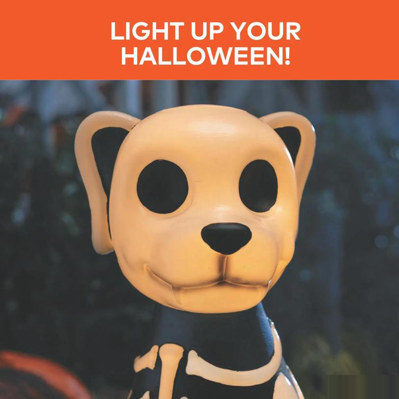 24" Light-Up Skeleton Dog Blow Mold with C7 LED Halloween Decoration