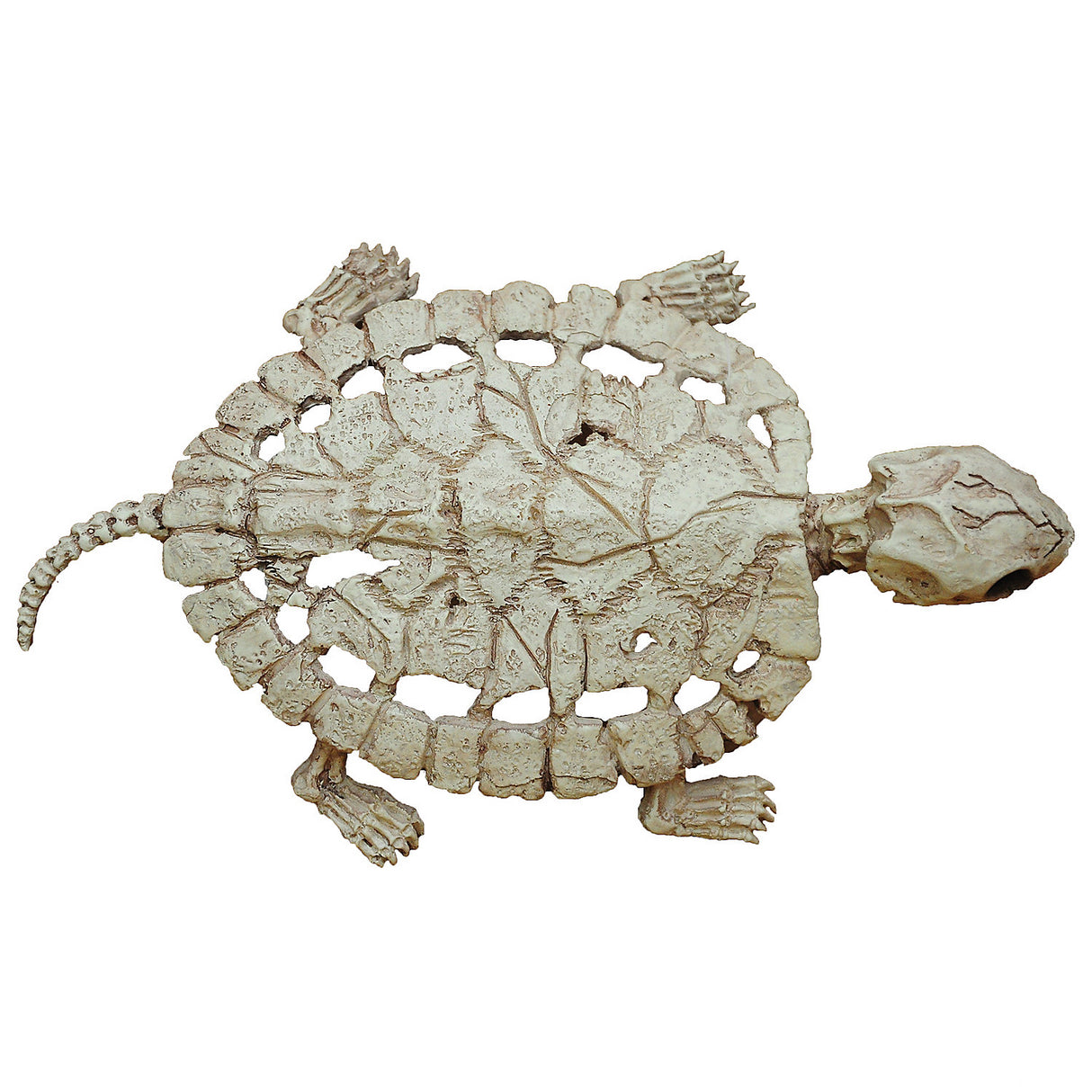 Amazing Turtle Skeleton Decoration Crafted from Durable Plastic for Halloween Displays and Creative Props