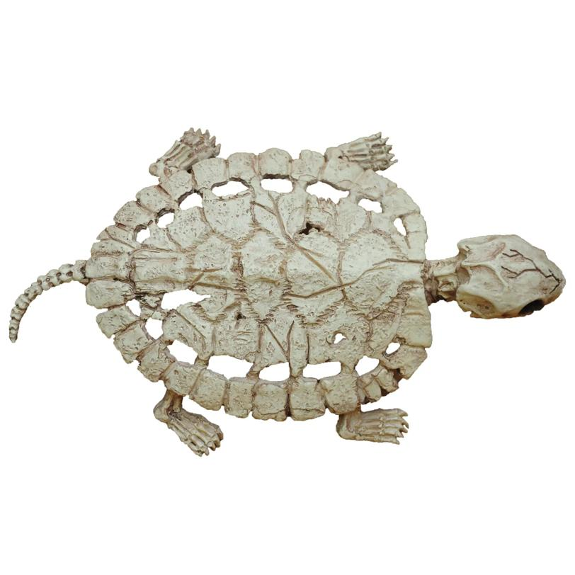 TURTLE SKELETON