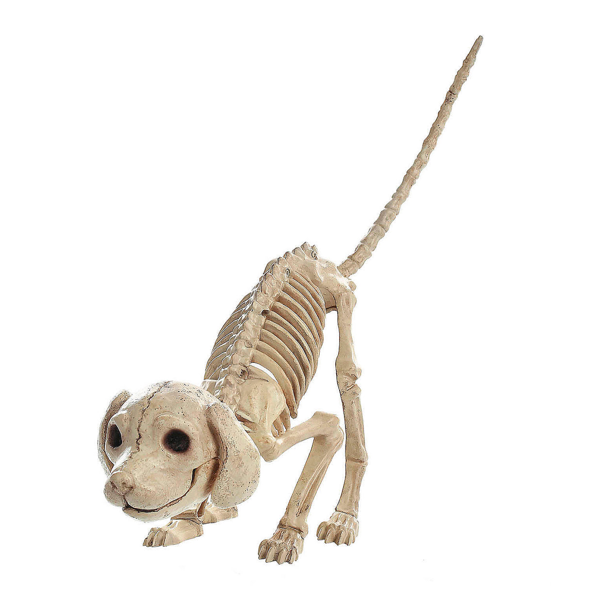 Cute and Creepy Standing Puppy Skeleton for Halloween Decorations and Themed Parties