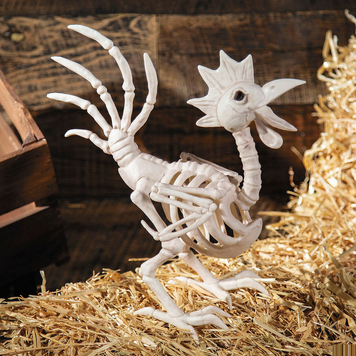 Unique 12 1/2 Inch Rooster Skeleton Halloween Tabletop Decoration for Spooky Parties and Haunted Displays