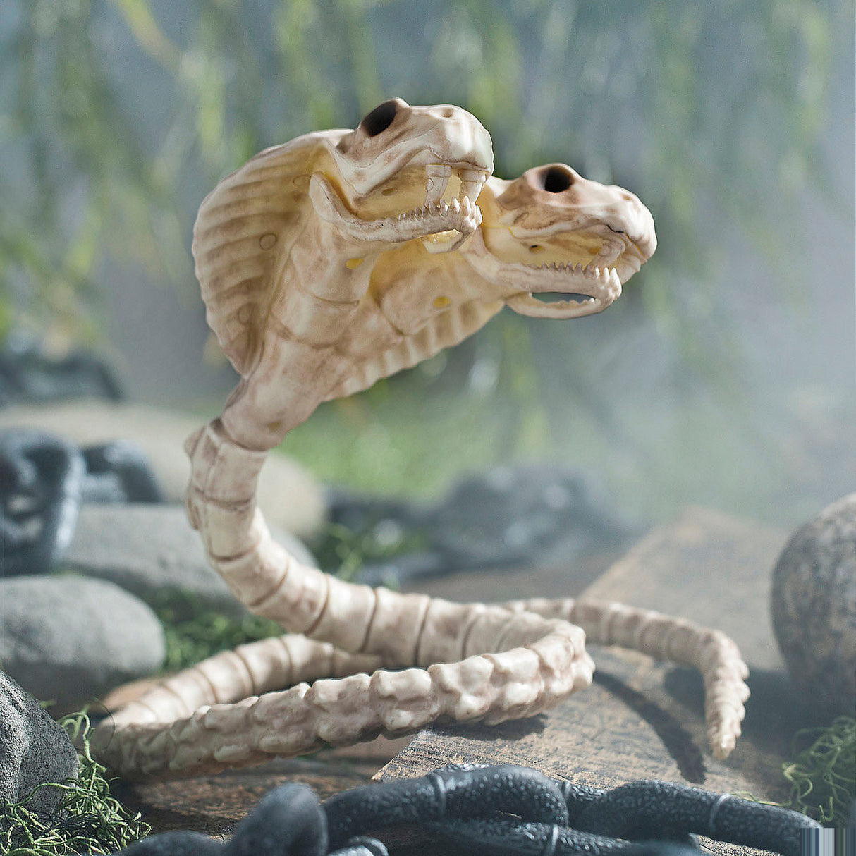 Realistic Two-Headed Cobra Snake Skeleton for Halloween Decor Haunted House Party and Spooky Displays