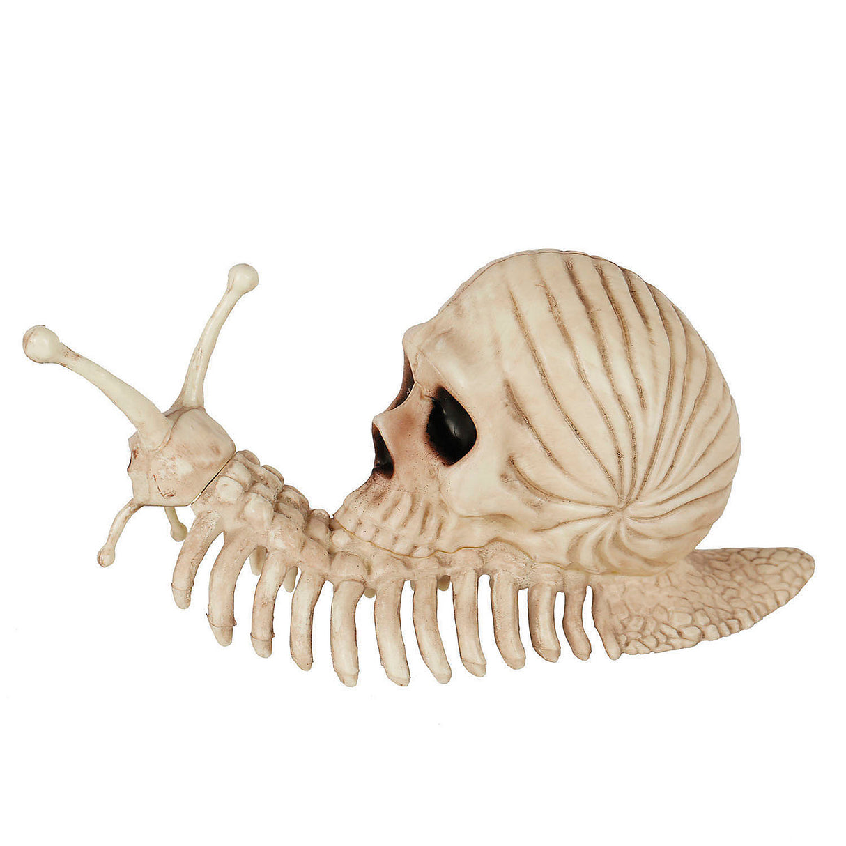 Unique SNAIL SKELETON for Halloween Decor and Spooky Home Accents