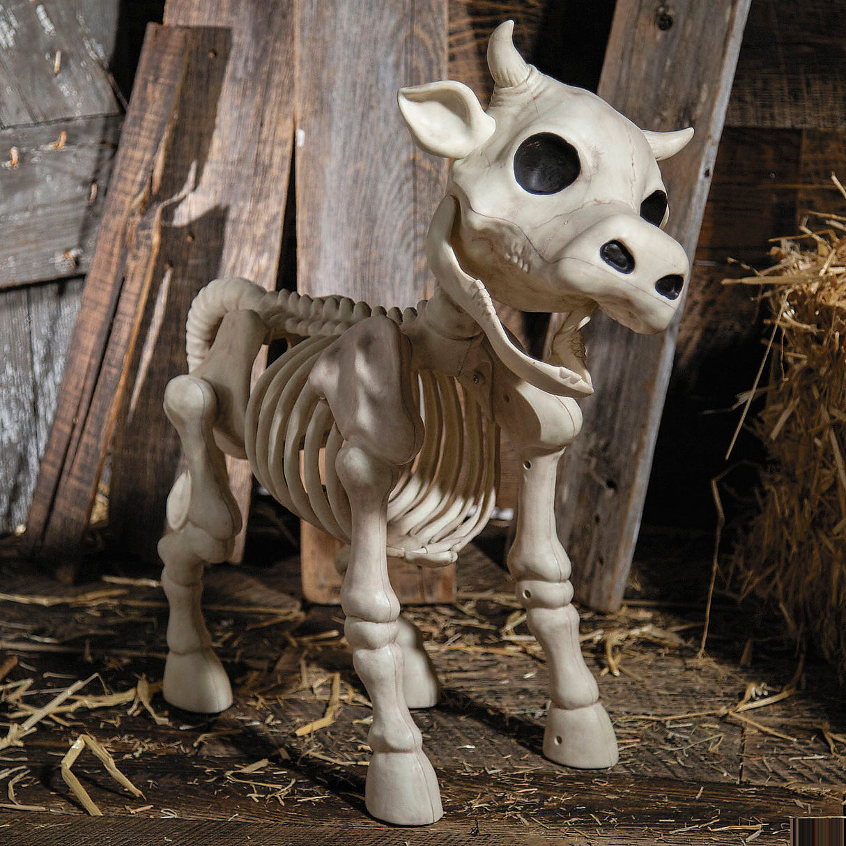 Realistic 23 Inch Standing Cow Skeleton for Halloween Displays and Haunted House Decorations