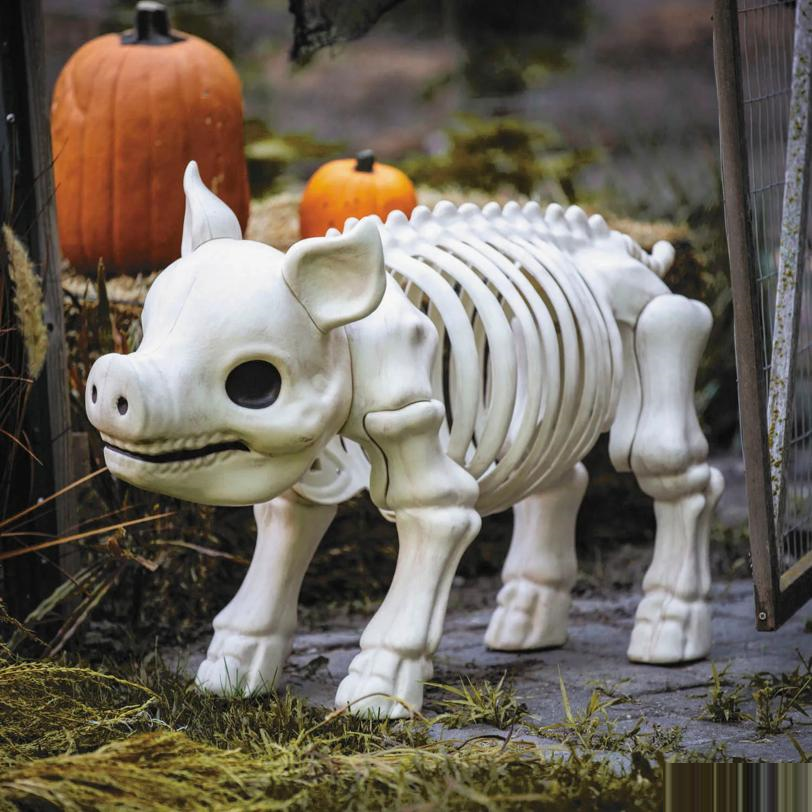 24 1/4" Standing Pig Skeleton Halloween Decoration